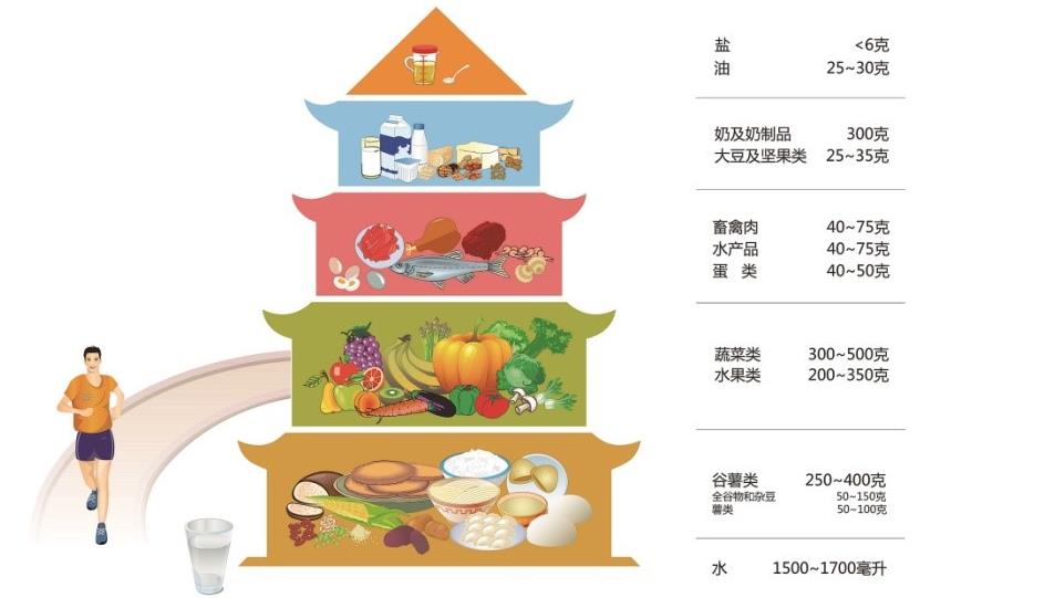中国人日基础代谢饮食标准